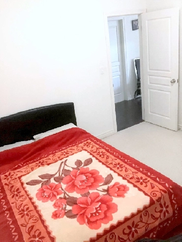 Available immediately Furnished rooms on rent Image# 1