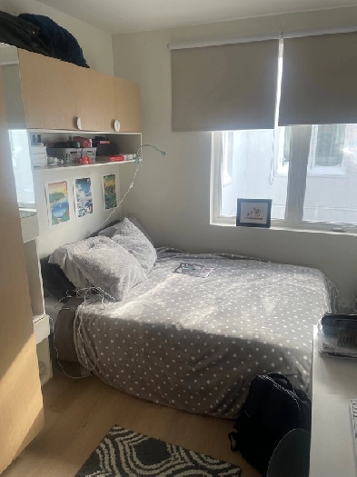 Fully furnished 1 Bedroom sublet near Dalhousie Image# 1
