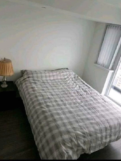 Double room for rent downtown Toronto Image# 2