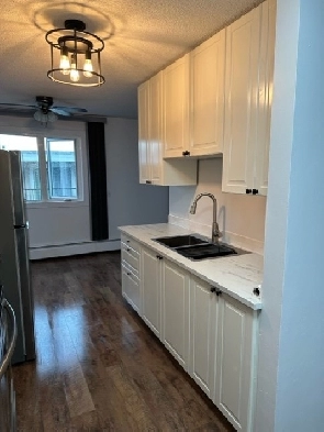 RENOVATED 2 BDRM in Old Strathcona! Balcony, Excellent Location! Image# 1