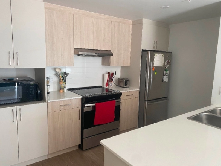 Lease Transfer Large 4 1/2 PointeClaire in West Island,QC