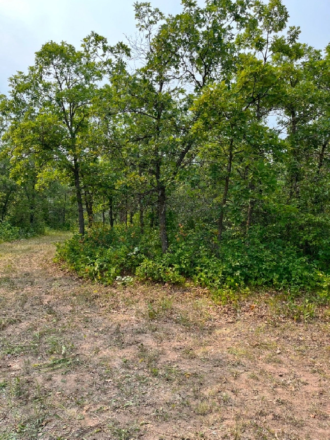 For Sale Vacant Lot At 129 Sunset Bay Grand Marais MB in Winnipeg,MB - Land for Sale
