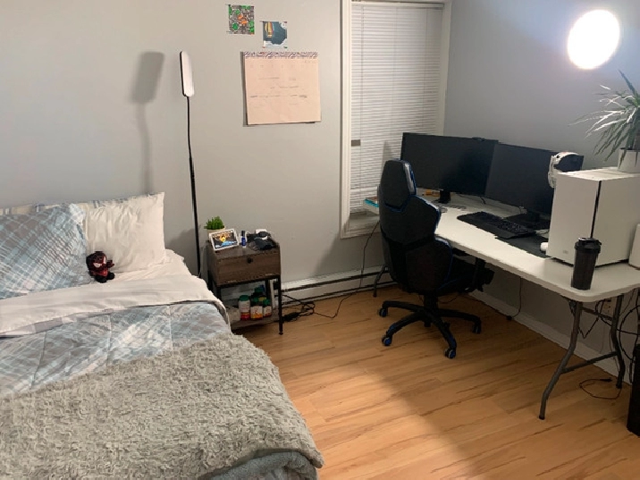 Summer Sublet (April - August) $800 in Ottawa,ON - Short Term Rentals
