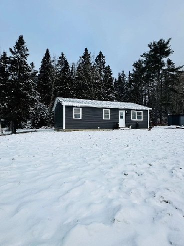 Completely Renovated 3 Bedroom Bungalow for under $150,000! Image# 1