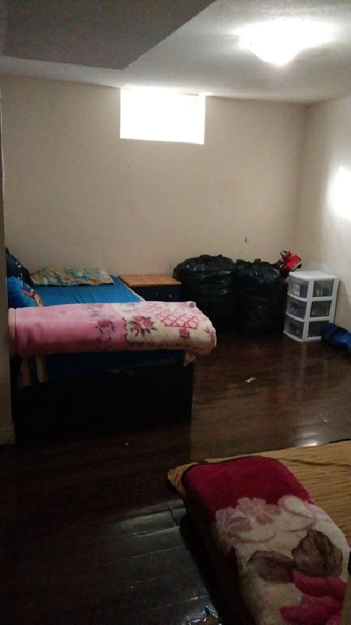 room for rent in sharing in Mississauga / Peel Region,ON Room Rentals