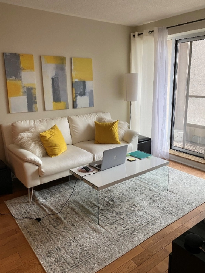 1 Bedroom 909 Bay Street Condo Apt. for rent, starting June 1st. in City of Toronto,ON - Apartments & Condos for Rent