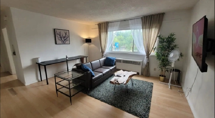Private central large 1 bedroom apartment in Edmonton,AB - Room Rentals & Roommates