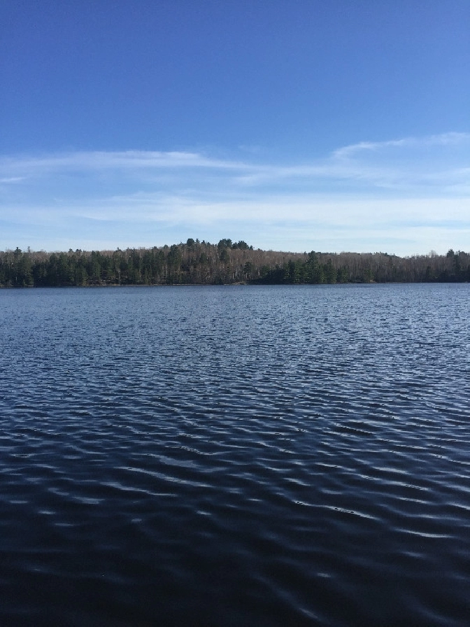 WATERFRONT 90 acres of land for sale Moore Lake Chelmsford in Sudbury