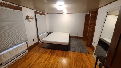 Newly renovated, bright  4-bedroom/1bathroom (Downtown) Image# 2