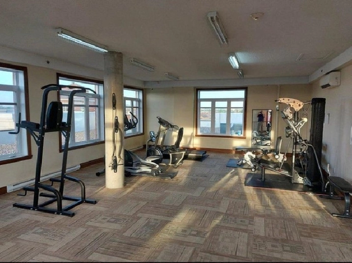 Large cozy one bed room condo stlaurent for rent in City of Montréal