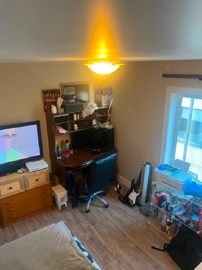 Summer Sublet Bedroom in Spacious Apartment near UOttawa in Ottawa,ON