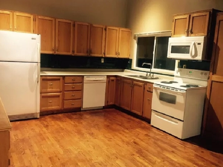 Brentwood house room rental- minutes walk to LRT and U of C in Calgary,AB - Room Rentals & Roommates