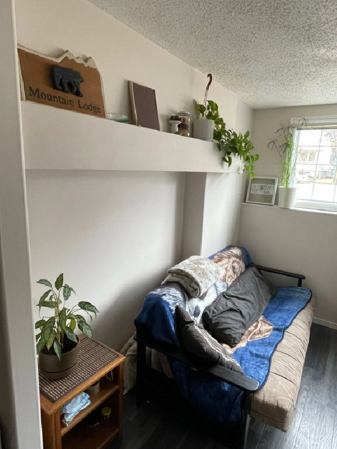 Basement suite on Broadway Ave in Saskatoon,SK Apartments & Condos