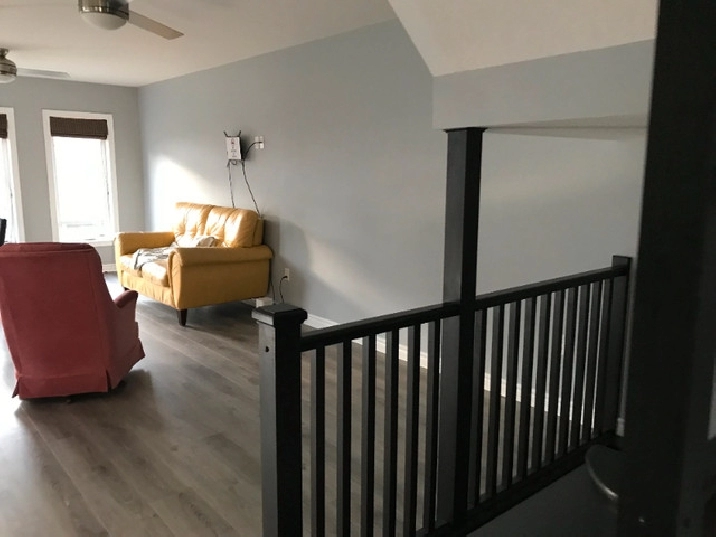 Room Available Near Conestoga College, Costco & Zehrs Plaza in Guelph,ON Room Rentals & Roommates