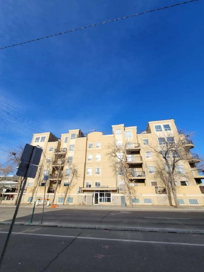 Fully Furnished 2 Bed 1 Bath apt in Downtown Edmonton in Edmonton,AB - Apartments & Condos for Rent