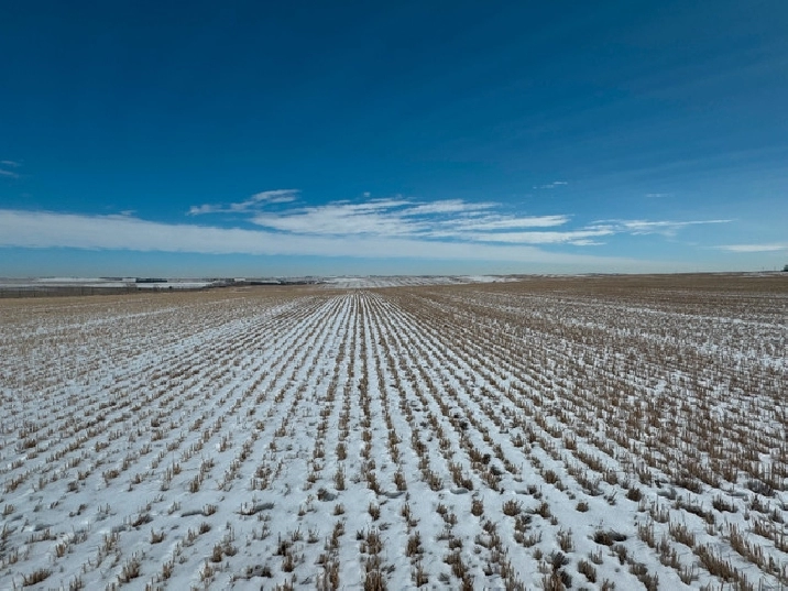 ONLINE LAND AUCTION - ROCKY VIEW COUNTY in Calgary,AB - Land for Sale