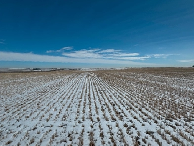 ONLINE LAND AUCTION - ROCKY VIEW COUNTY Image# 1