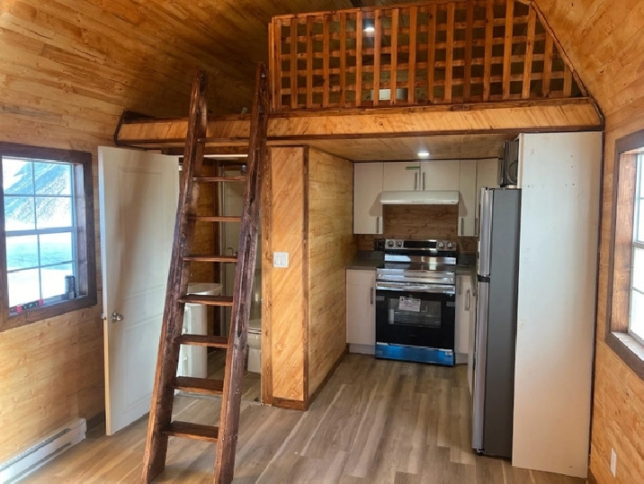 Beautiful new tiny home for sale in Edmonton,AB - Houses for Sale