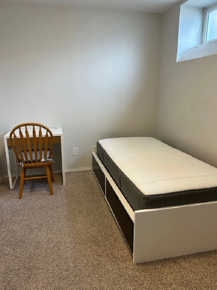 Basement rent for female in Winnipeg,MB - Room Rentals & Roommates