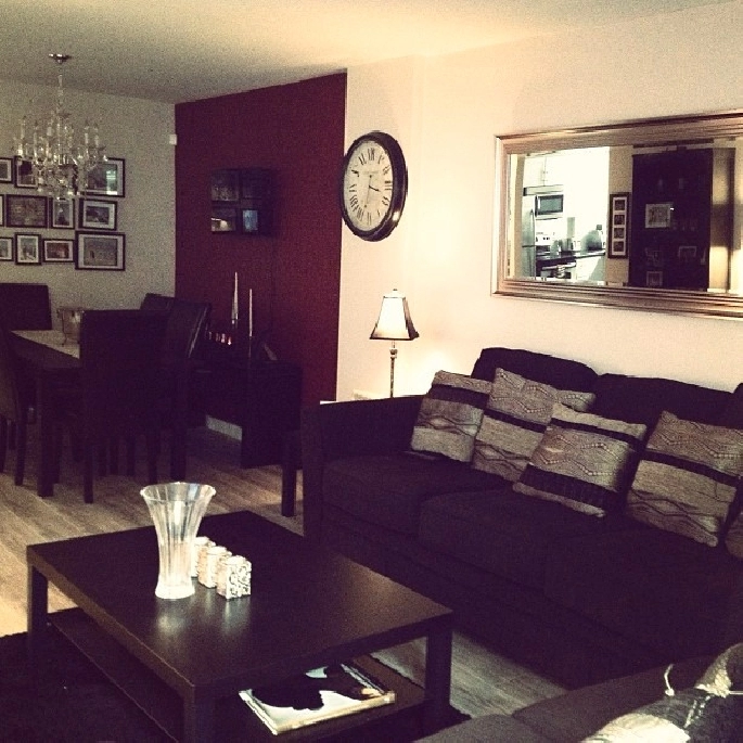 Gorgeous Fully Furnished One Bedroom Condo in Winnipeg in Winnipeg,MB - Apartments & Condos for Rent