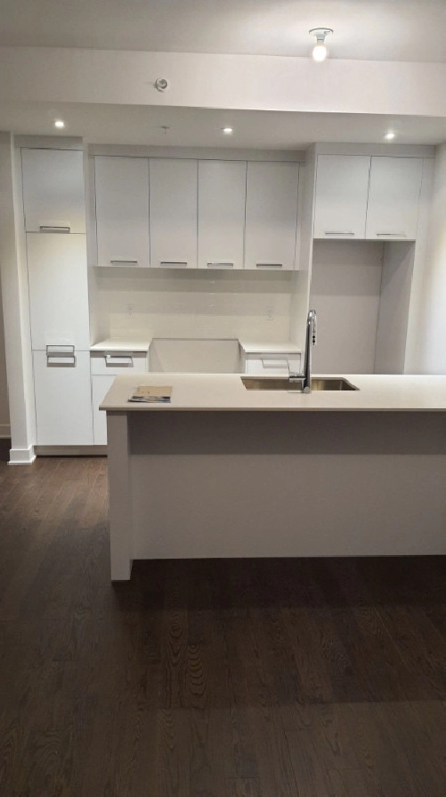 1 Bed 1 Bath Apartment Condo For Rent - Downtown (Griffintown) in City of Montréal,QC - Apartments & Condos for Rent