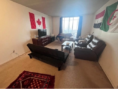 Cheap Furnished Private Room in Downtown Ottawa (May 1st) Image# 1