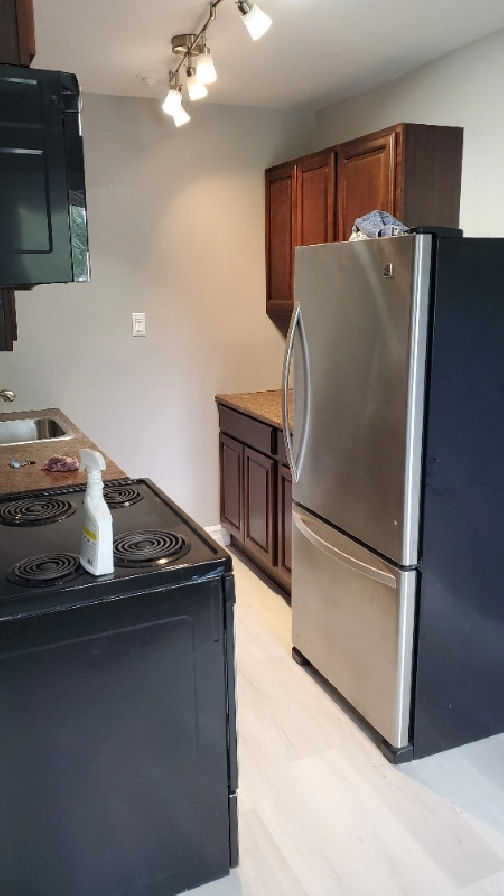 1 Bdr renovated apartment available immediately 41 Jackson Rd in