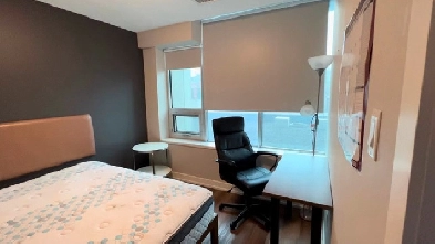 1 Bedroom in 3-Bedroom Luxury Student Apartment Image# 1