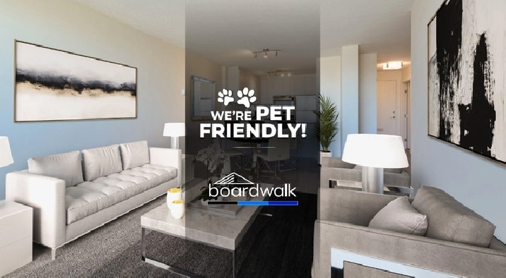 1 Bedroom Premium - 10711 Saskatchewan Dr. Renovated Suite in Edmonton,AB - Apartments & Condos for Rent