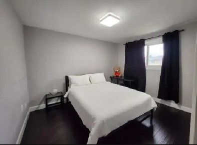DELUXE ROOMS FOR RENT NEAR YORK UNIVERSITY Image# 1