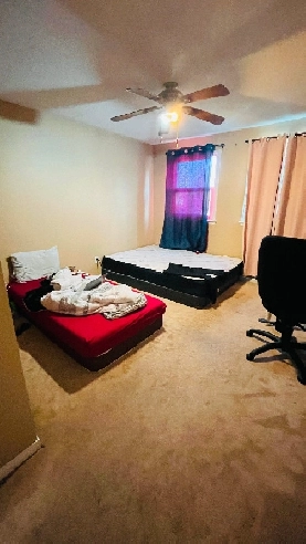 Room sharing for females with a girl near Bramalea city center Image# 2