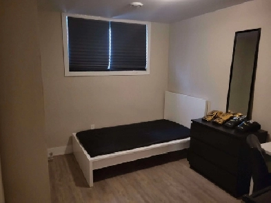 Room for rent 2 min walk from Carleton University (May-August) Image# 1