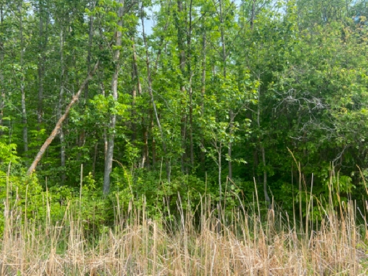 15 Mike Bay, Victoria Beach - Build your dream home or cottage! in Winnipeg,MB - Land for Sale