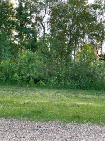 36 Reisswood Dr, Traverse Bay - 1/2 acre lot w/ mature trees! Image# 1