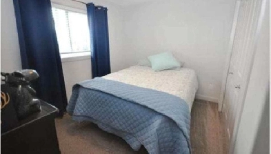 Room rental in McConachhie Way ($600 /month) Image# 1