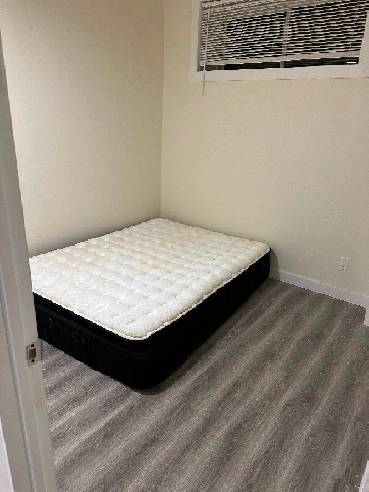 One Single room in a basement suite for RENT Image# 1