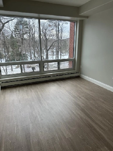 Private Room in Dowtowm Halifax - 2Bed 2Bath Apartment Image# 2