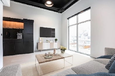 Beautiful 1 Bedroom Loft Apartment for Rent Available June 1! Image# 1