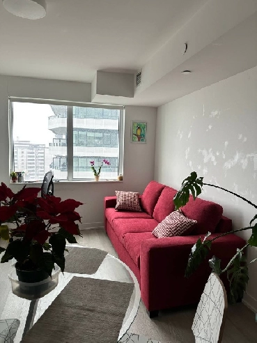 Toronto - May SUBLEASE - 1 bedroom apartment (fully furnished) Image# 1