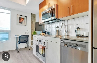 2 Bedroom NEW- Rideau, $950.Summer Student Sublet Apartment Image# 1