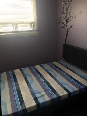 1 cozy furnished room for rent for a male Image# 1