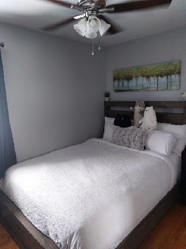 Fully Furnished room for rent Northeast Edmonton $800/month Image# 1