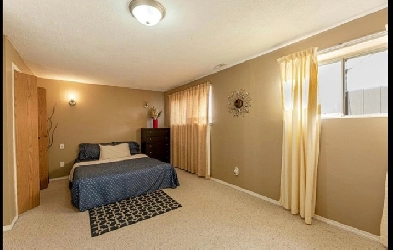 Room for rent/ Basement suite for rent Image# 9