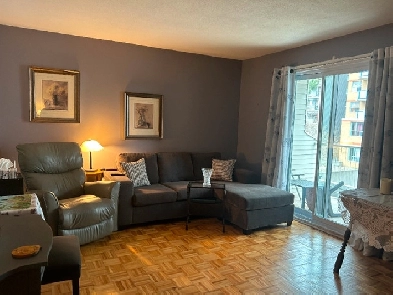 Cozy One Bedroom Condo Apartment near Montreal Rd & St-Laurent Image# 1