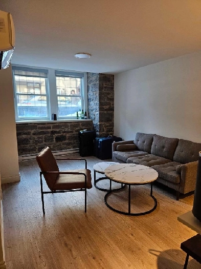 Sublet in downtown Montreal Image# 1