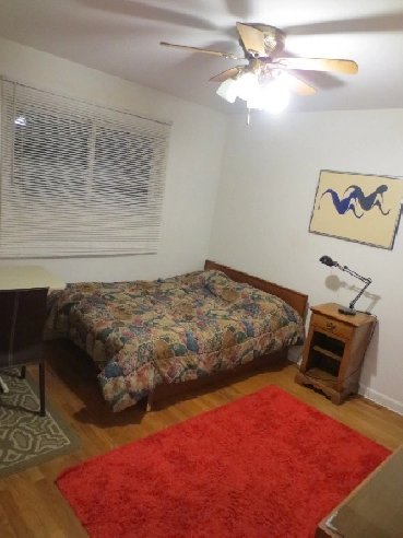 Amazing Clean Quiet Room Near Algonquin Clg Furnished ! Image# 1