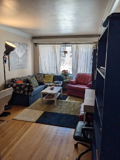 One bedroom  Den , 3.5 room Apartment , McGill Ghetto , Plateau Image# 1