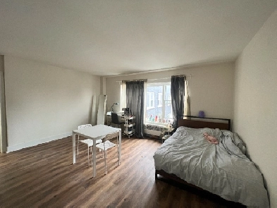All-inclusive, furnished studio in Ottawa to rent may - august Image# 1