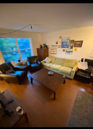 Looking for roomate 2 bed 1 bath Image# 1