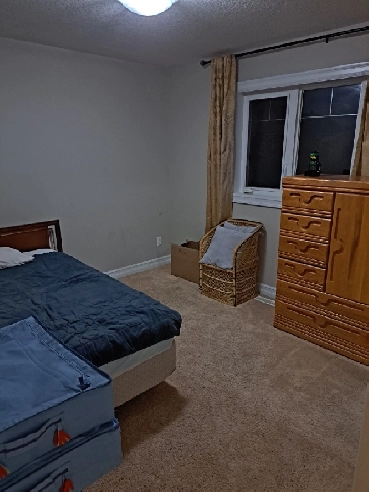 room for rent in Edmonton South house Image# 1
